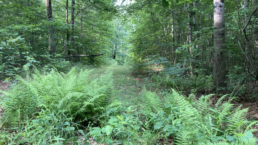 Eastern Boundary Trail