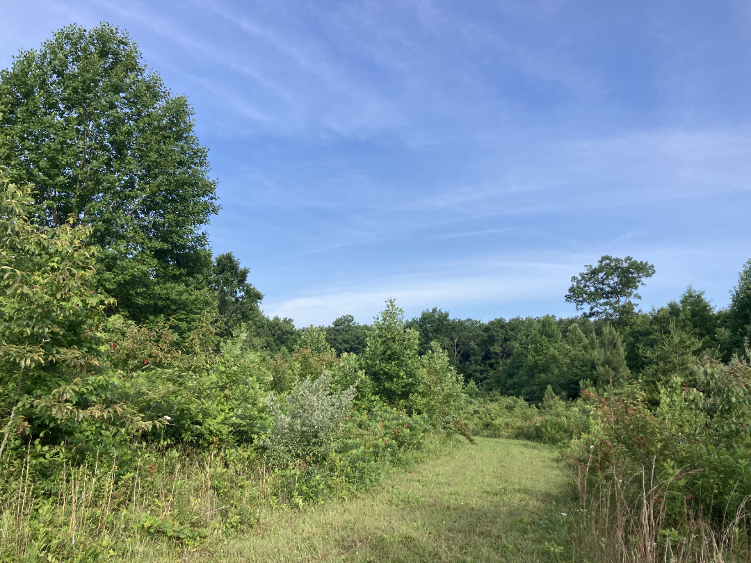 Southern Boundary Trail