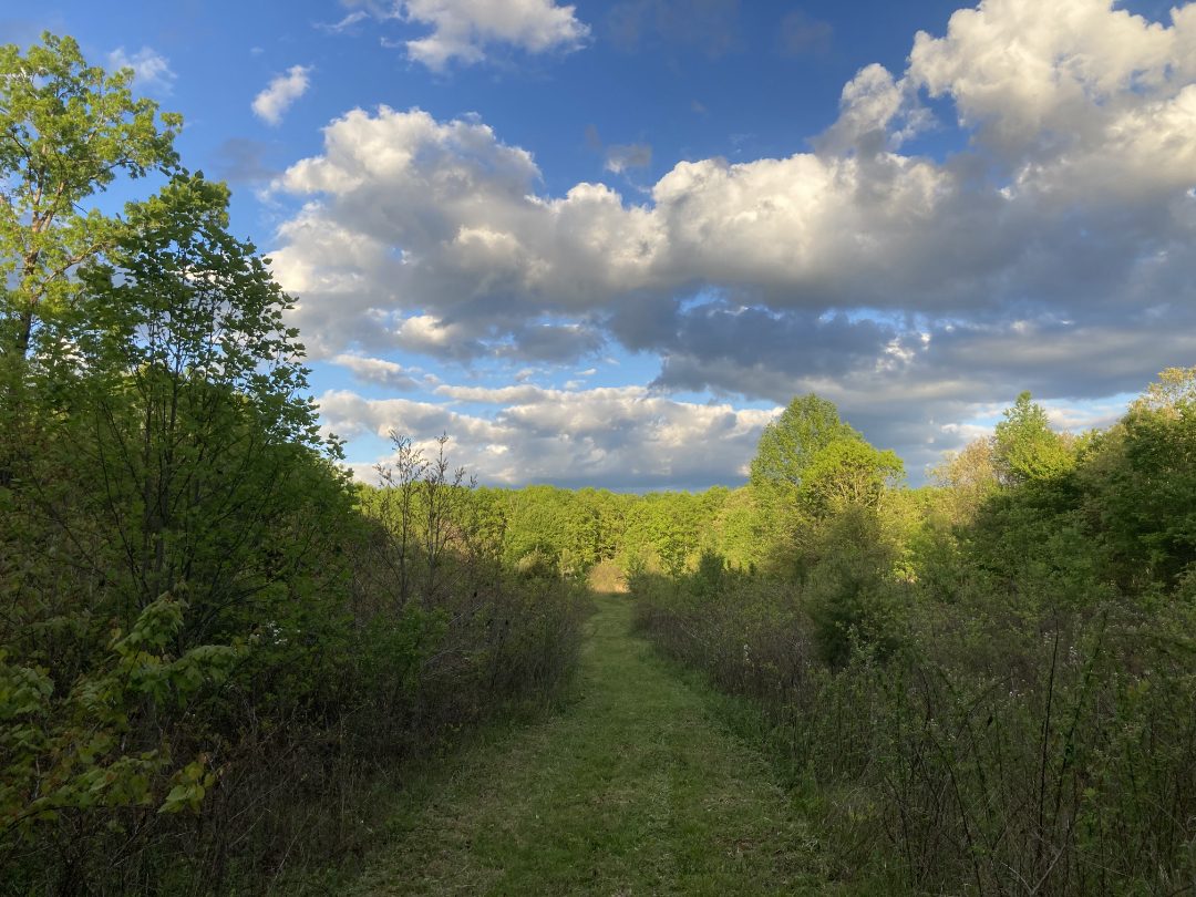 Southern Boundary Trail