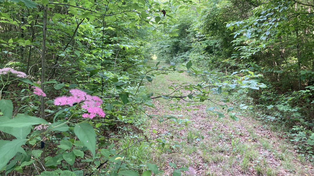 Western Boundary Trail