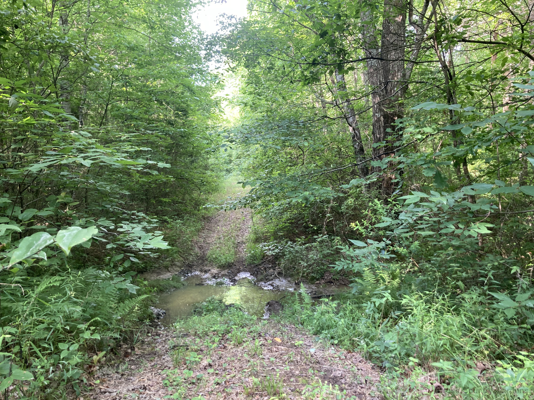 Western Boundary Trail