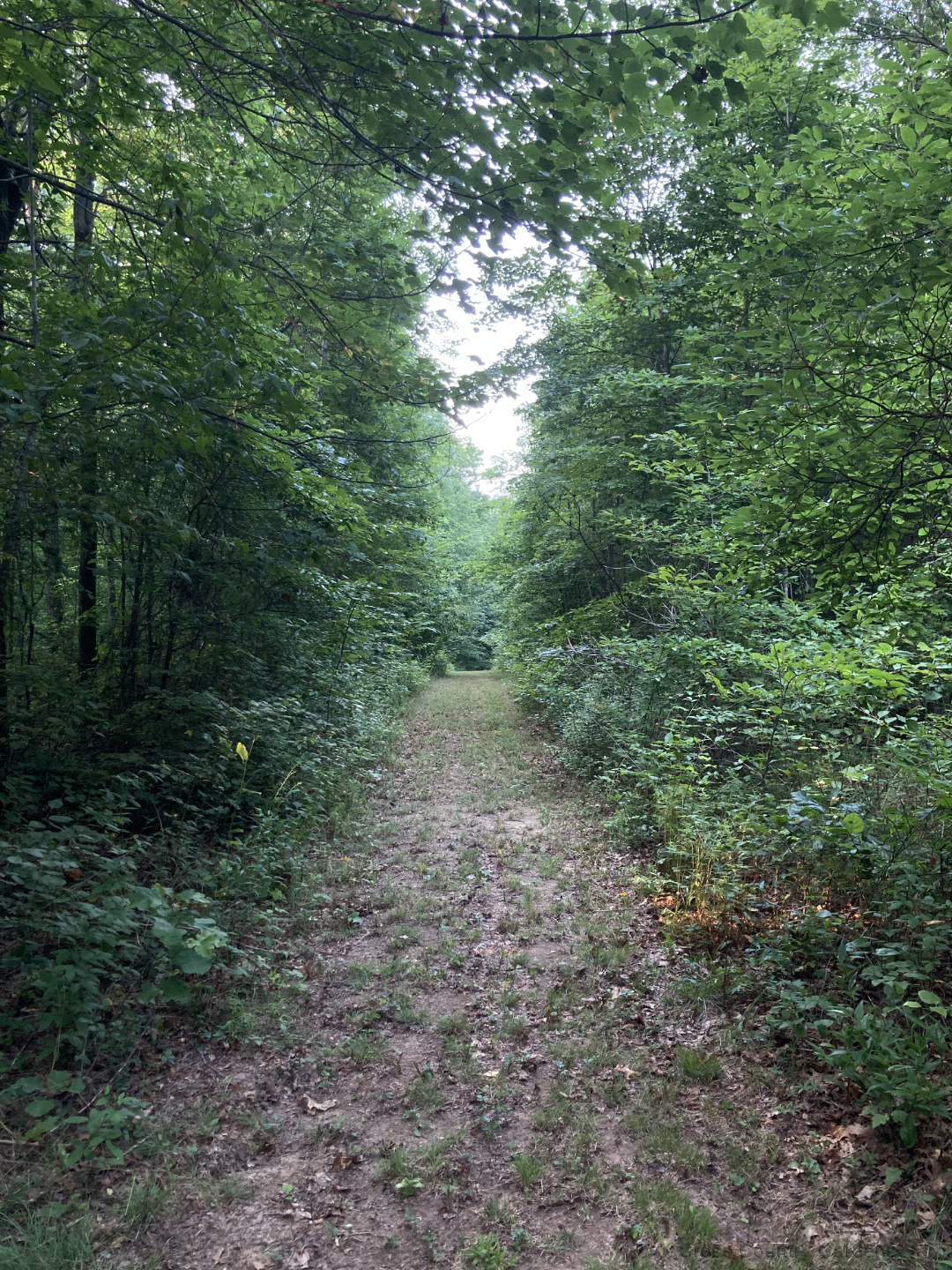 Western Boundary Trail